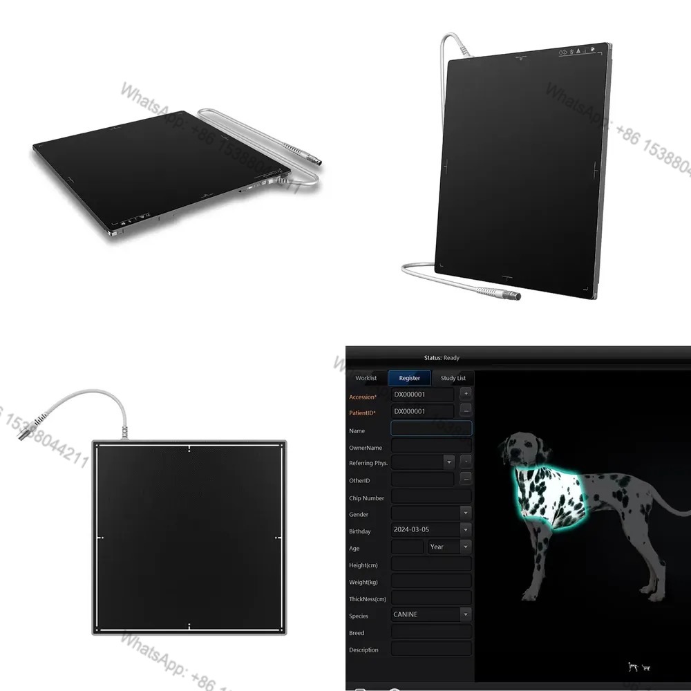 Penjualan Panas 2026 Detektor  - Tech Accessories Sale ulasan dan harga